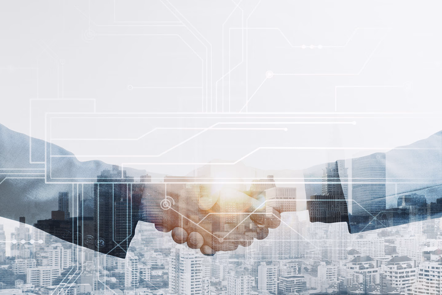 Two business people shaking hands